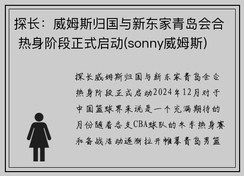 探长：威姆斯归国与新东家青岛会合 热身阶段正式启动(sonny威姆斯)